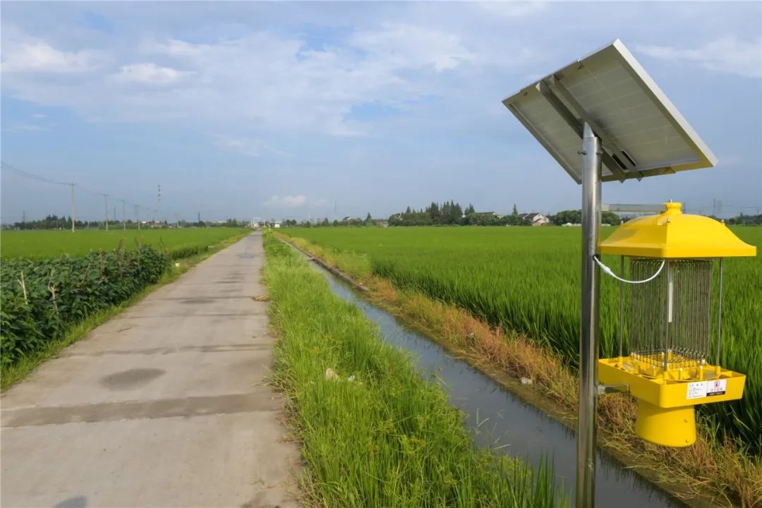 太阳能板杀虫灯