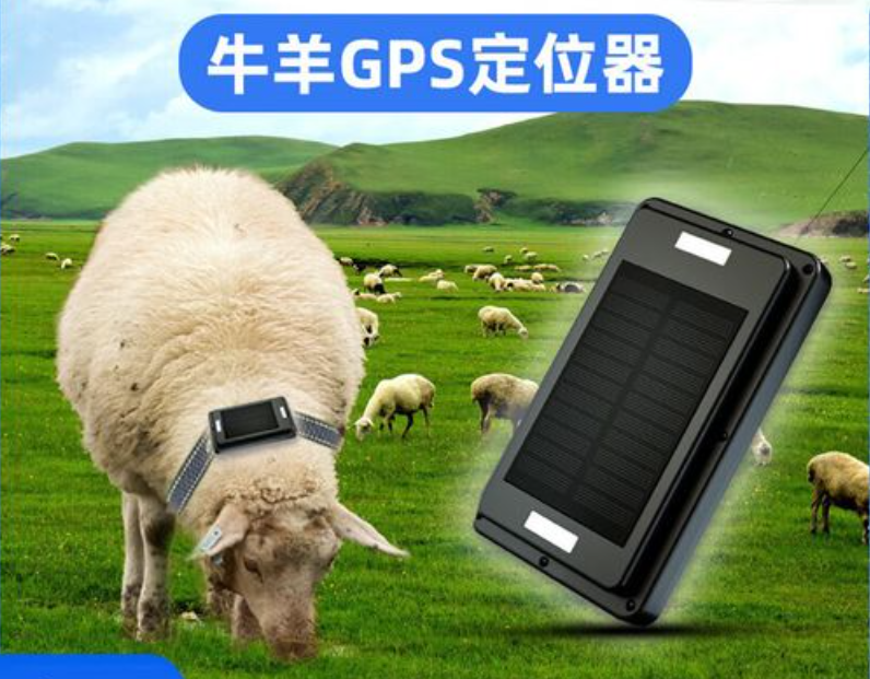 动物太阳能板应用